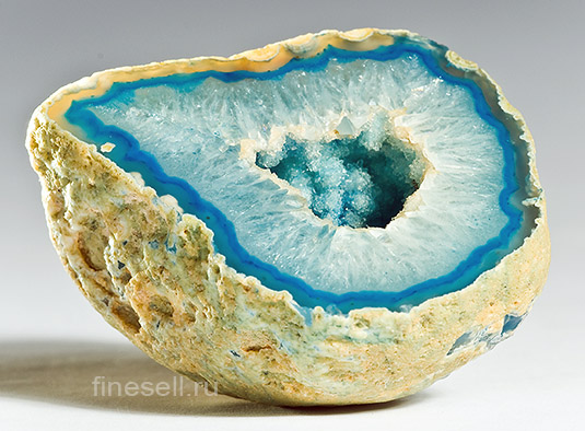 ������������ �����