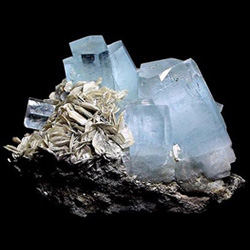 ������ ��������� � ��� ��������