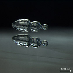 �����, �� �� ���������