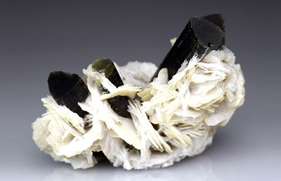 ��������������� �������