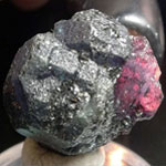 ������ �����������