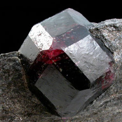 ������ ��������� � ��� ��������