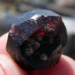 ����������� �� ����������