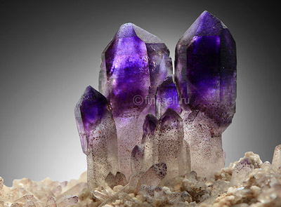 ����� ���������� � �������������� ��������