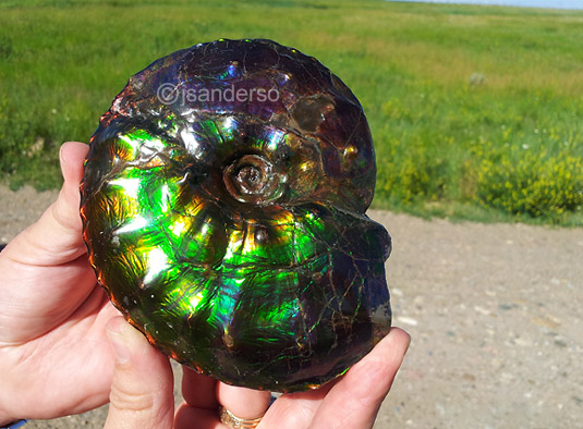 ������� - �������� � ���������� ��������� �����